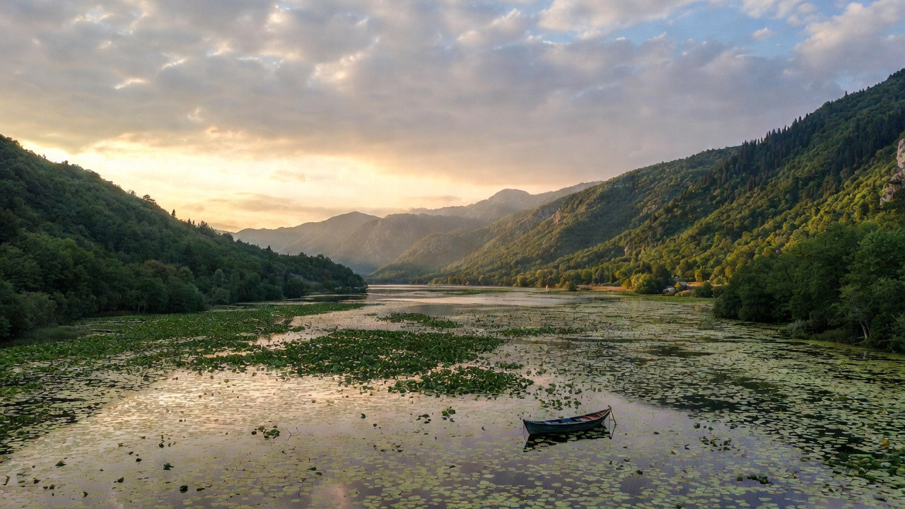 Lac de Skadar au Monténégro, paysage naturel avec nénuphars et montagnes, activités, hébergements et accès